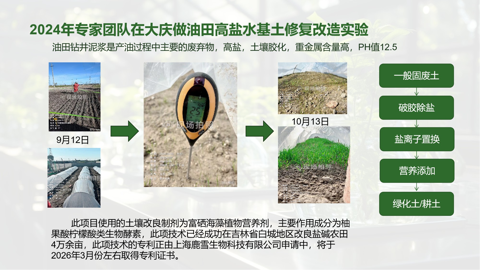 大庆油田高盐水基土修复